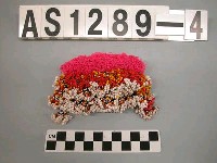 藏品(珠綴髮飾)的圖片